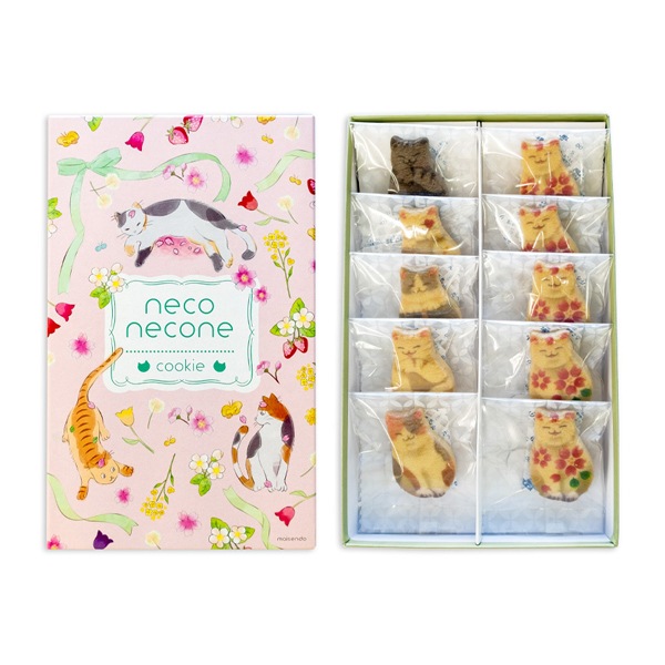 ��ո�����neconecone �ա� ǭ���å���10����(��Ĺ�ԥ�BOX)