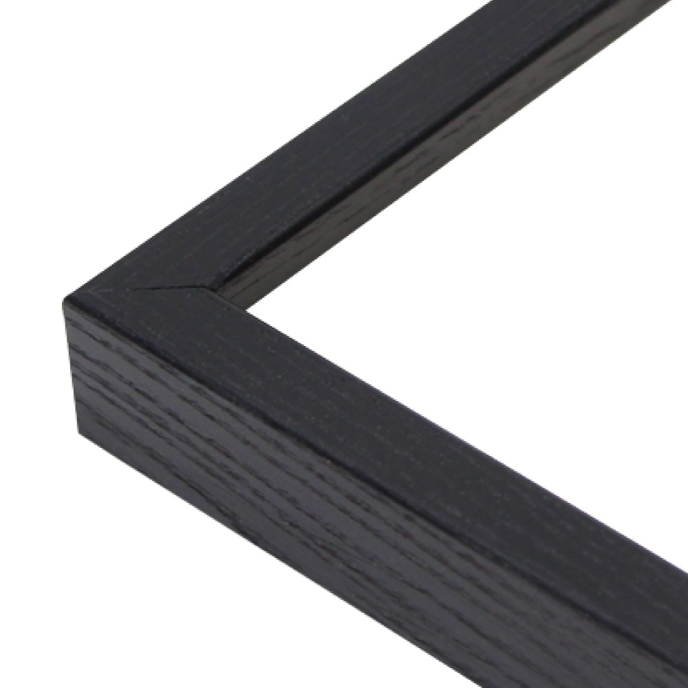 FLAT14 ブラック　[デッサン額縁/UVカットアクリル]　SN140/W13