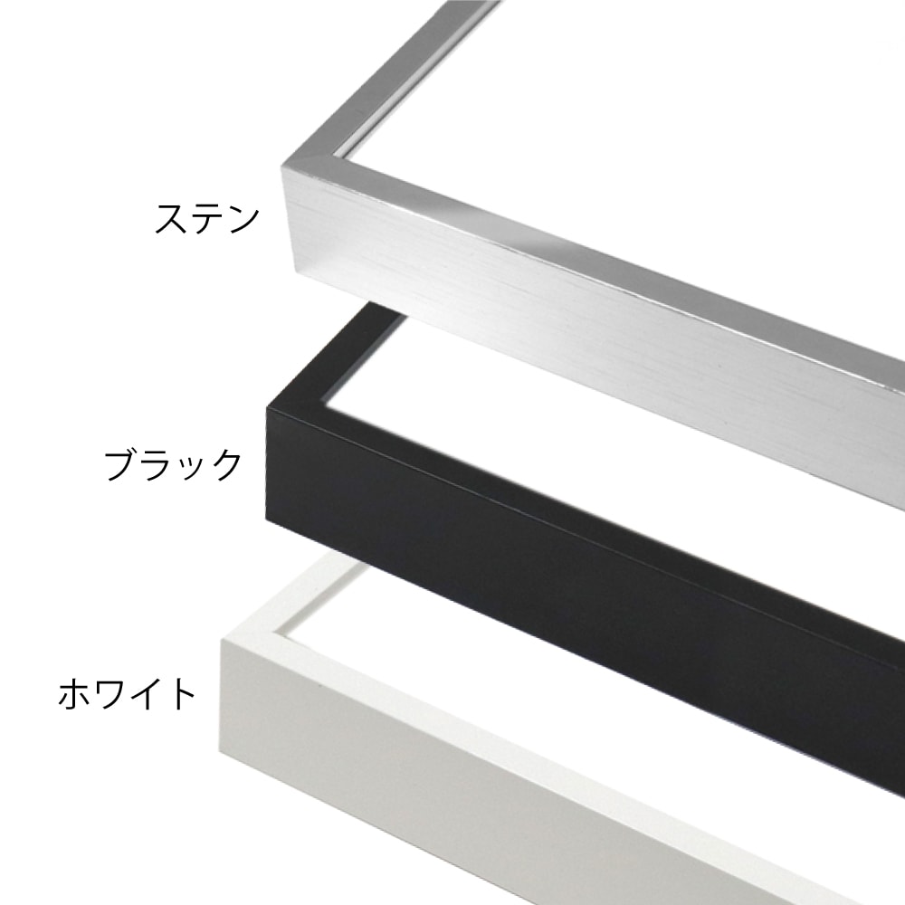 MRN-D4100-B ステン　[デッサン額縁/UVカットアクリル]　SN250/W6