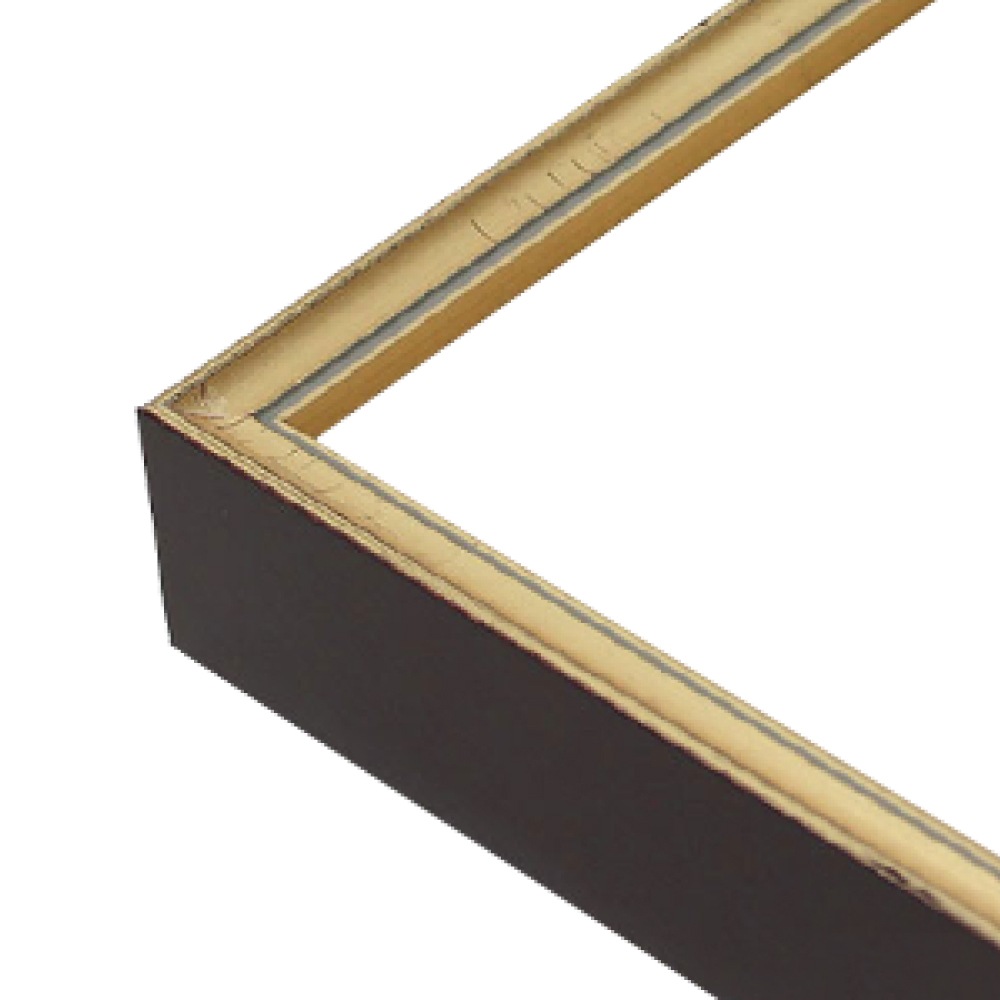 MRN-D4102-C ゴールド　[デッサン額縁/UVカットアクリル]　SN250/W12