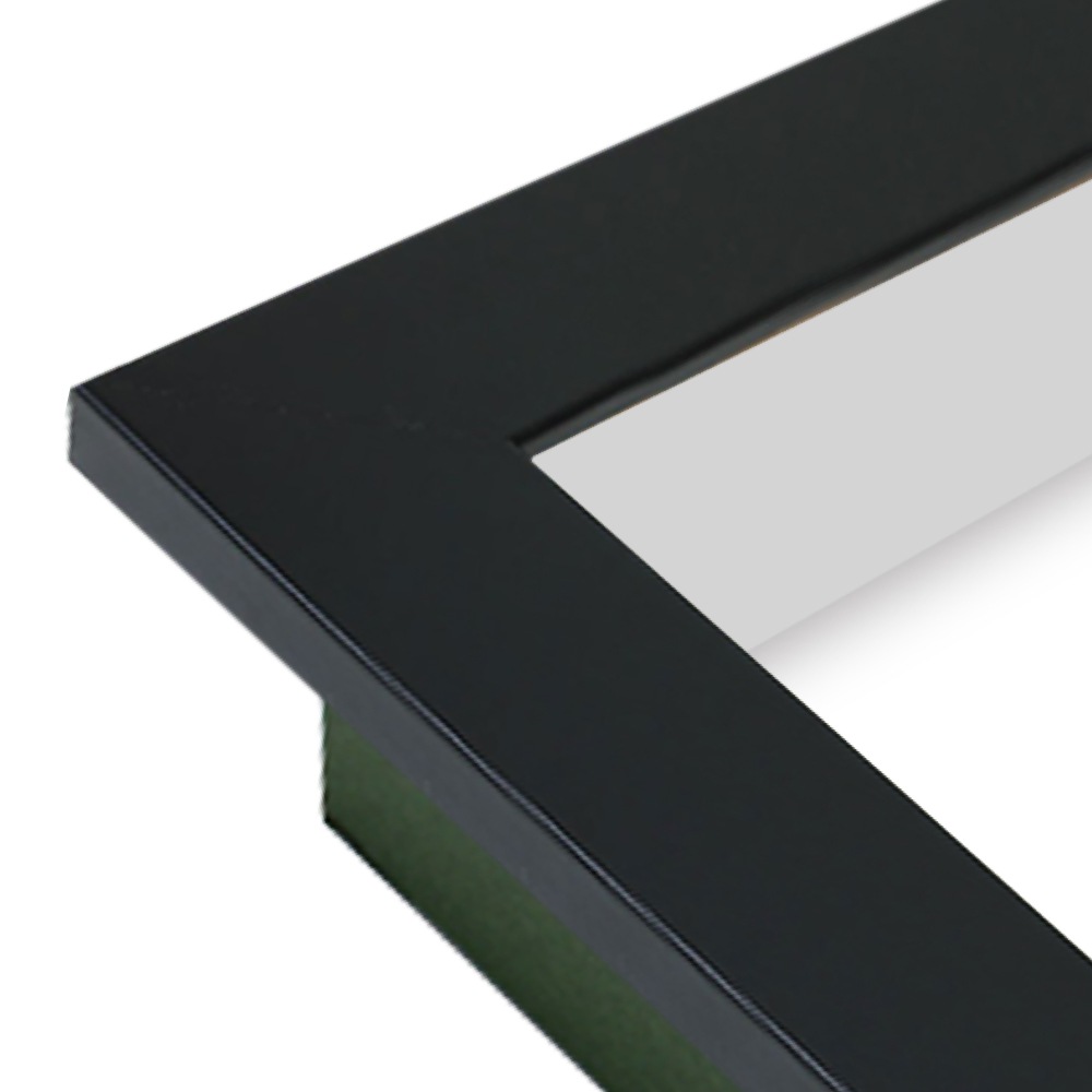 MRN-S1002-C ブラック　[ボックス額縁/UVカットアクリル]　SN180/W50