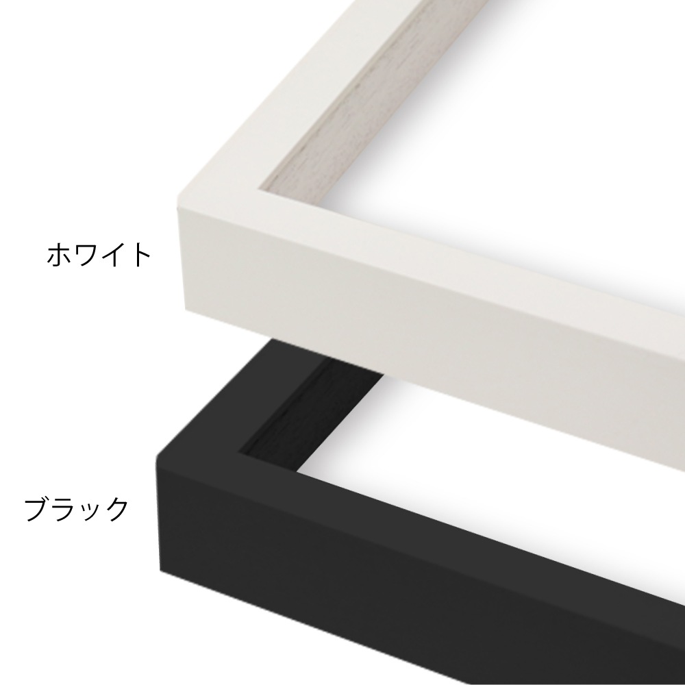 MRN-S5012-D ブラック　[ボックス額縁/UVカットアクリル]　SN200/W23