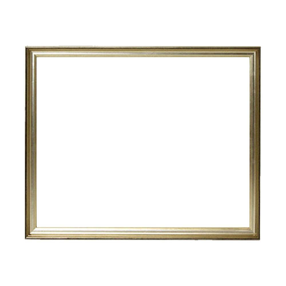 MRN-D5008-C シャンパンゴールド　[デッサン額縁/UVカットアクリル]　SN150/W22