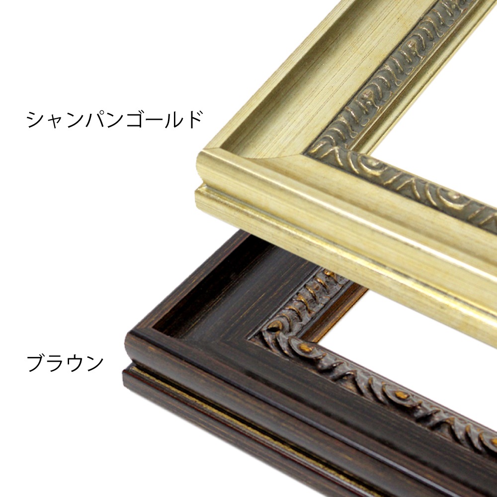 MRN-D5011-B シャンパンゴールド　[デッサン額縁/UVカットアクリル]　SN320/W50