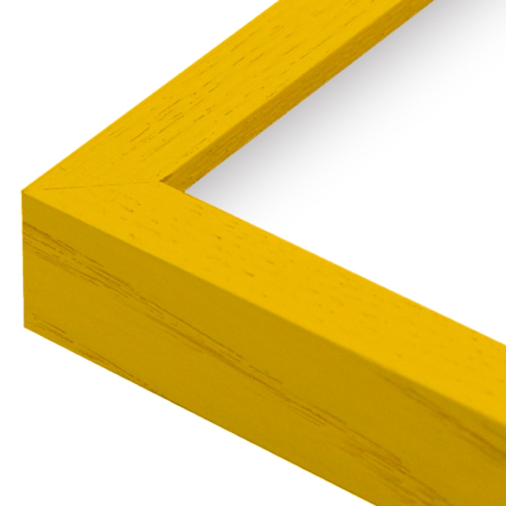 MRN-S5508-Cカラー イエロー　[ボックス額縁/UVカットアクリル]　SN140/W13