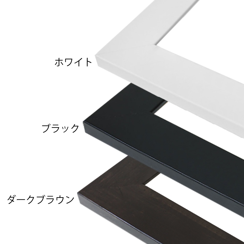 MRN-D1002-C ブラック　[デッサン額縁/UVカットアクリル]　SN300/W50