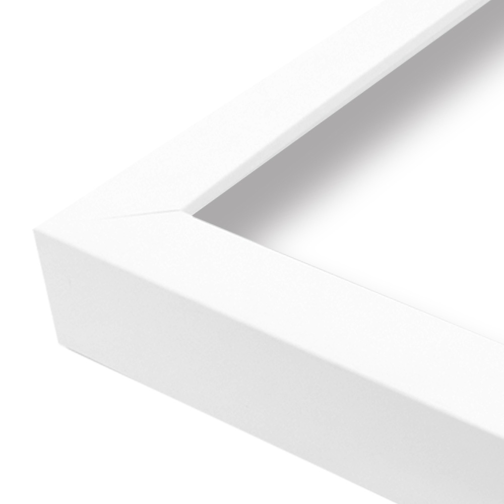 MRN-S6010-G ホワイト　[ボックス額縁/UVカットアクリル]　SN340/W38