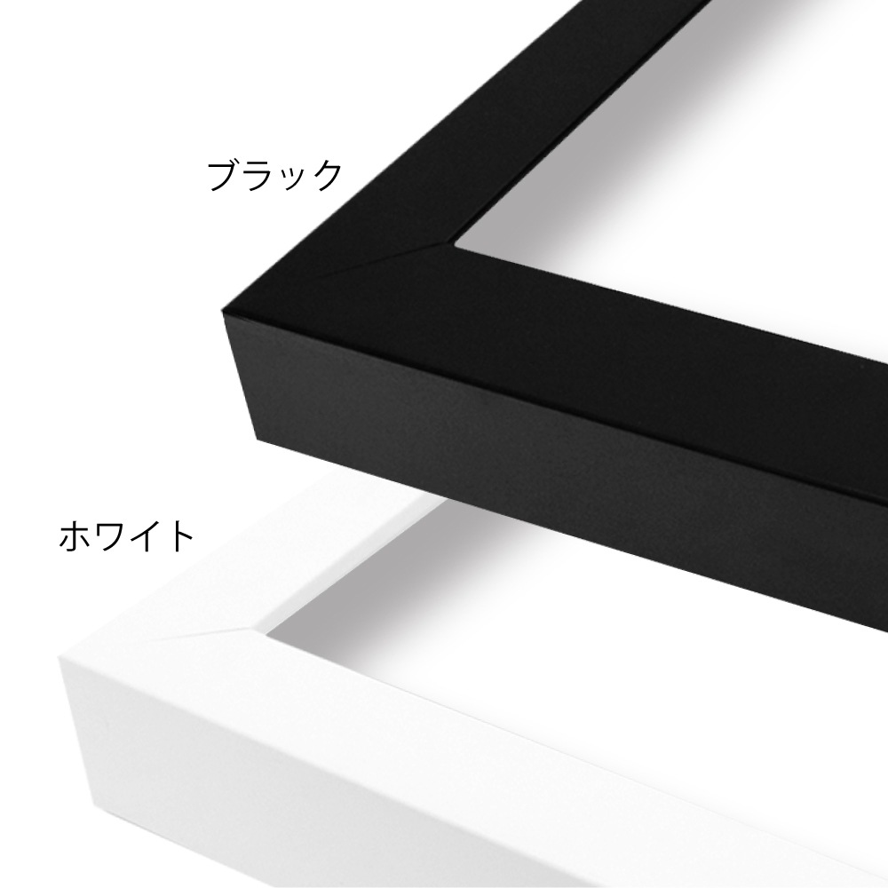 MRN-S6010-G ホワイト　[ボックス額縁/UVカットアクリル]　SN340/W38