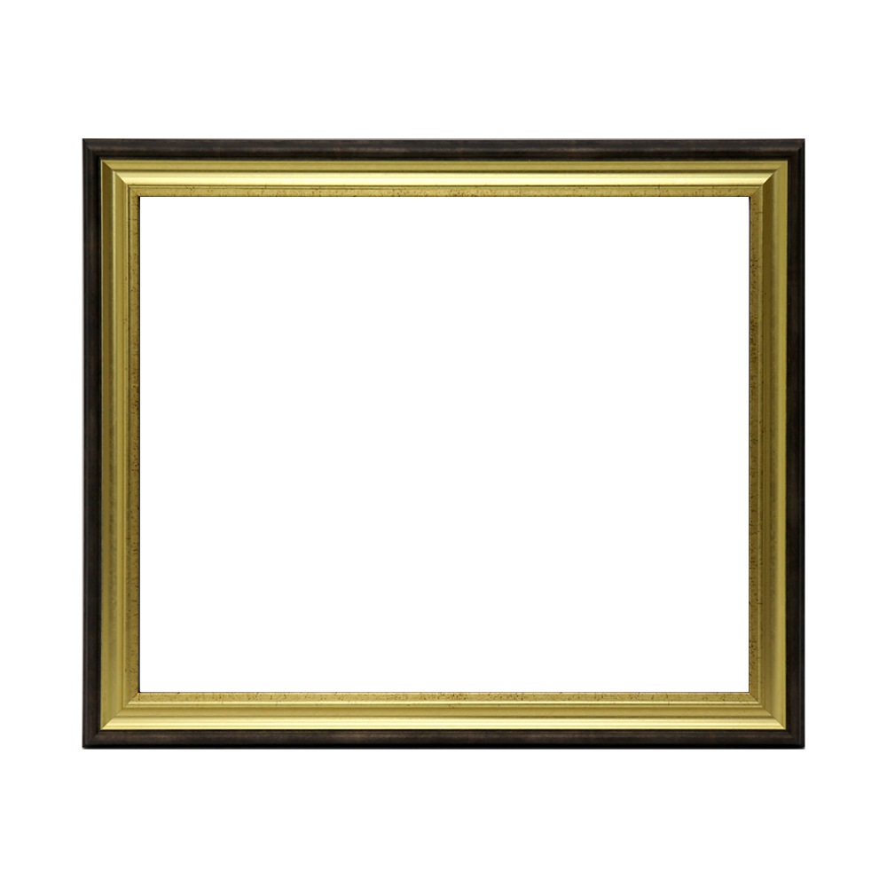 MRN-D3042-B ゴールド　[デッサン額縁/UVカットアクリル]　SN180/W41