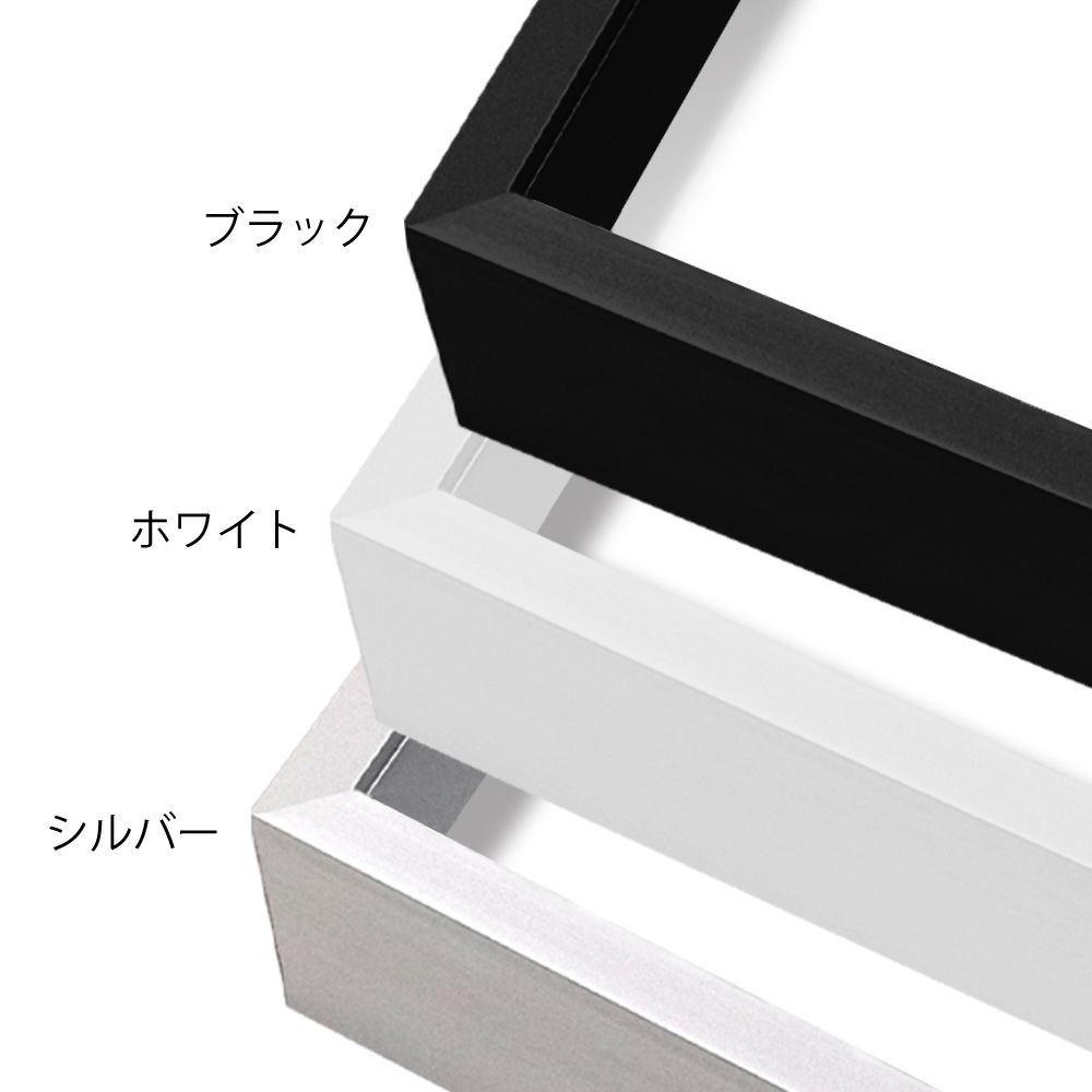 MRN-S4019-C ブラック　[ボックス額縁/UVカットアクリル]　SN200/W10