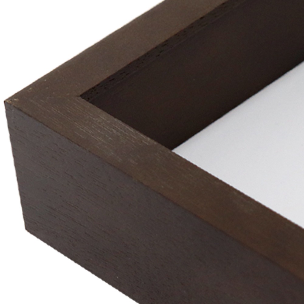 MRN-S5527-C ブラウン　[ボックス額縁/UVカットアクリル]　SN120/W16