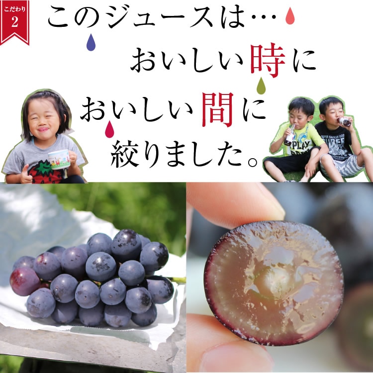 ̵ۿ100󥸥塼 200mlͤ碌8ܥå