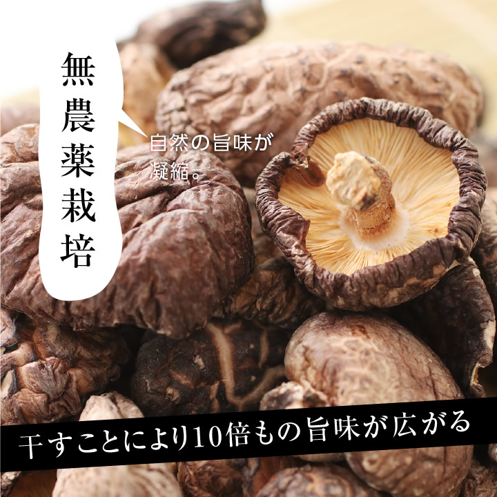 ̵۹  ̤ɤ 80g  ں ̵ ̵ź