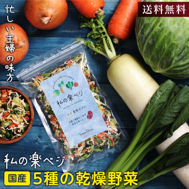 送料無料】国産 乾燥野菜ミックス 私の楽ベジ 100g 5種の国産野菜