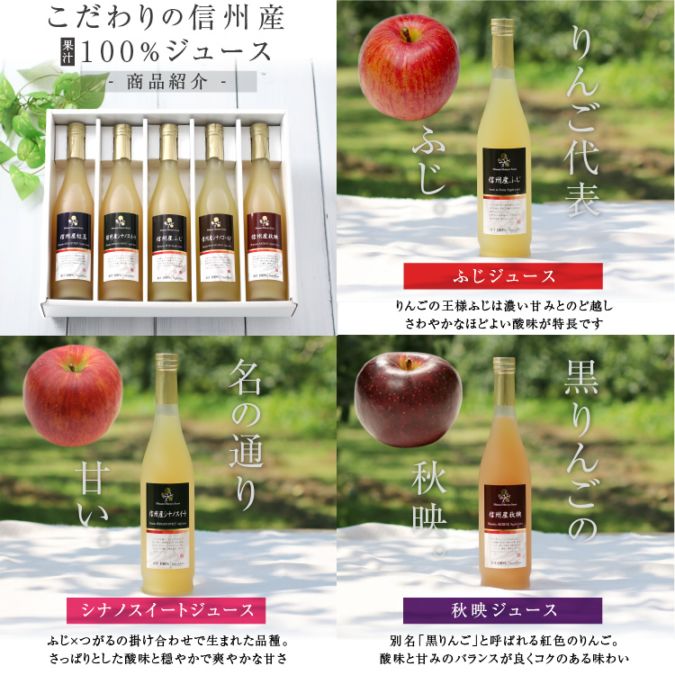 ̵Ĺ100󤴥塼5ʼ͹礻5ܥեȥå