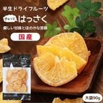 �� �ɥ饤�ե롼�� �Ϥä��� 90g
