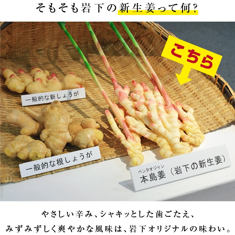 ɥ饤ե롼 䲼οժ 250g