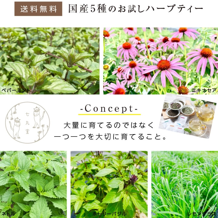 ̵۹񻺥ϡ֥ƥ 5Τå