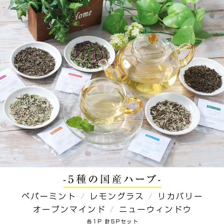 ̵۹񻺥ϡ֥ƥ 5Τå