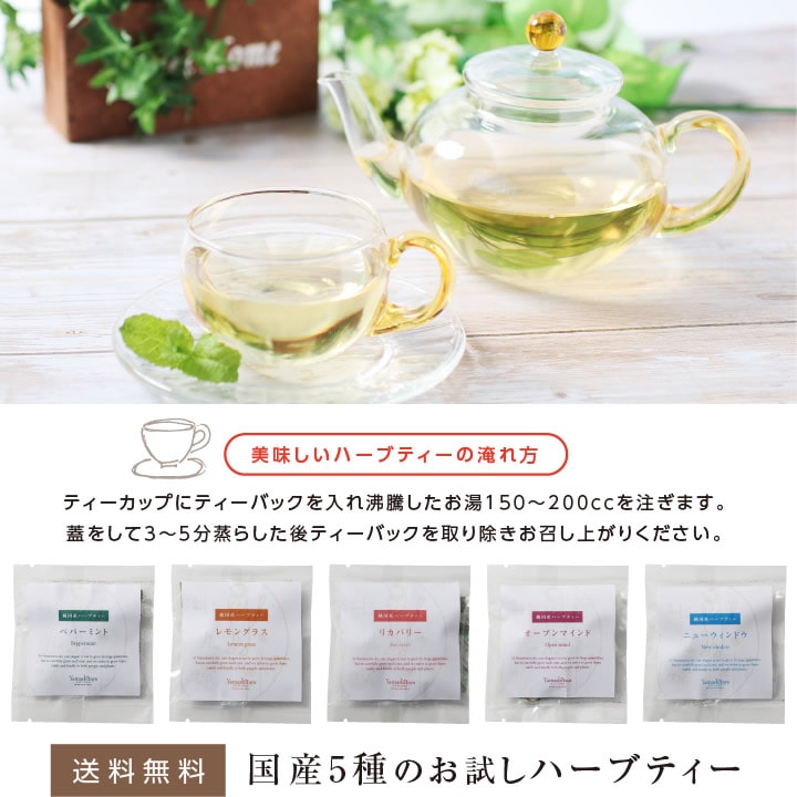 ̵۹񻺥ϡ֥ƥ 5Τå