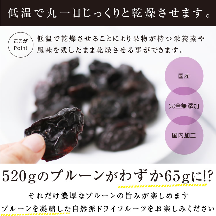 ڹ񻺡ۥɥ饤ե롼 ץ롼 65g Ի ̵ź