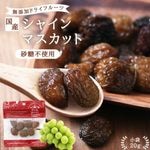 Ĺۥɥ饤ե롼 㥤ޥå 20g Ի ̵ź