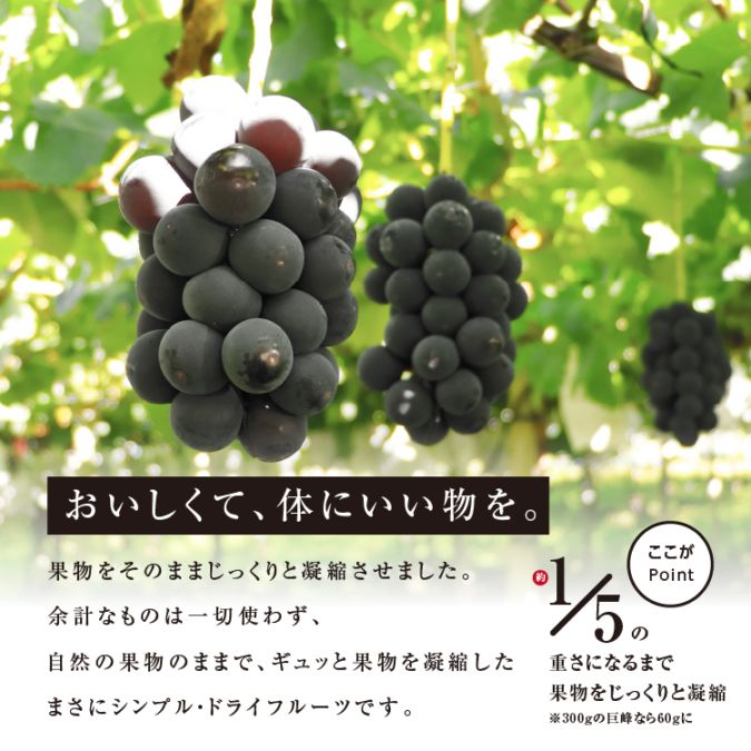 Ĺۥɥ饤ե롼 ̵ 60g Ի ̵ź