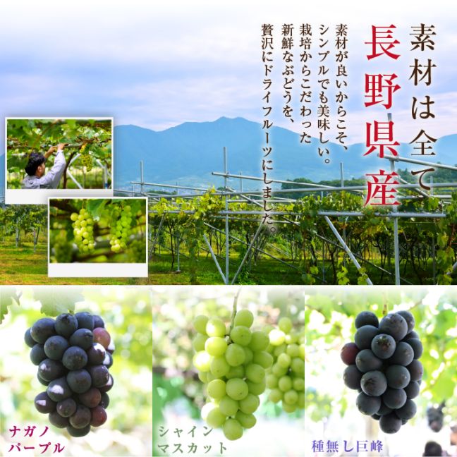 ֤ɤ3Υɥ饤ե롼 ե Ի ̵ź Ĺ  ץ쥼 ̵ |  £ʪ  ˤ лˤ ֤ ɥ饤 ʥΥѡץ 㥤ޥå ̵  ۻ  襤ܥ 渵 2025