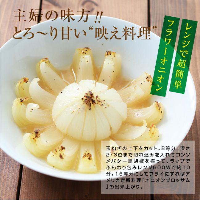 ���ո��� ���̤ͤ� 10kg ��̸���(2L/3L) �Ż���Ź ����ľ����