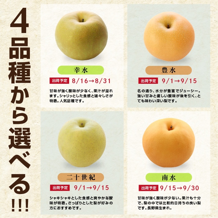 梨 4種類から選べる ( 10㎏ / 秀品 / 松澤農園)産地直送 | 旬の果物,梨 | 市田柿専門店 山下屋荘介