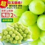 ���㥤��ޥ����å� �� 2�� / ���� / Ĺ� �������� ) ����ľ��