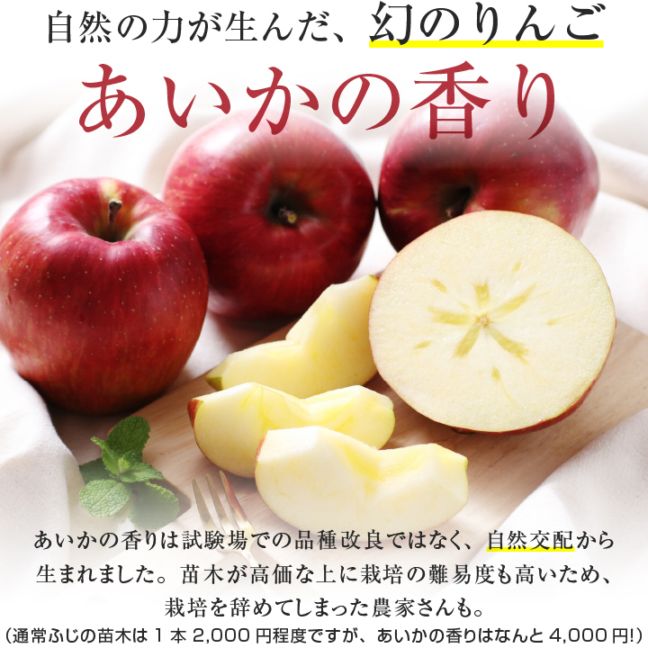 ����� ������ �������ΰ�ũ ��󤴥��塼�� �̽�100�� ���塼�����å� 2�� 3�� ���� 6�� ���եȤ����� ����̵�� �Ƕ��������� Ĺ��� | ��� �ܤ˹ʤ�ޤ��� ���ȥ졼�ȥ��塼�� �� ������ ��� £�� �ץ쥼��� ���ˤ� �л��ˤ� �л���� �ͤ��碌 2026