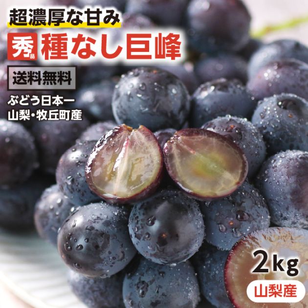 種なし巨峰 （ 2㎏ / 秀品 / 山梨県牧丘町産 ) 3～5房入り | 旬の果物