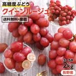��������롼���� �� 3��5˼ ��2kg  / ���� / Ĺ�����Ĺ����ꥸ�ʥ��ʼ� �֤ɤ�