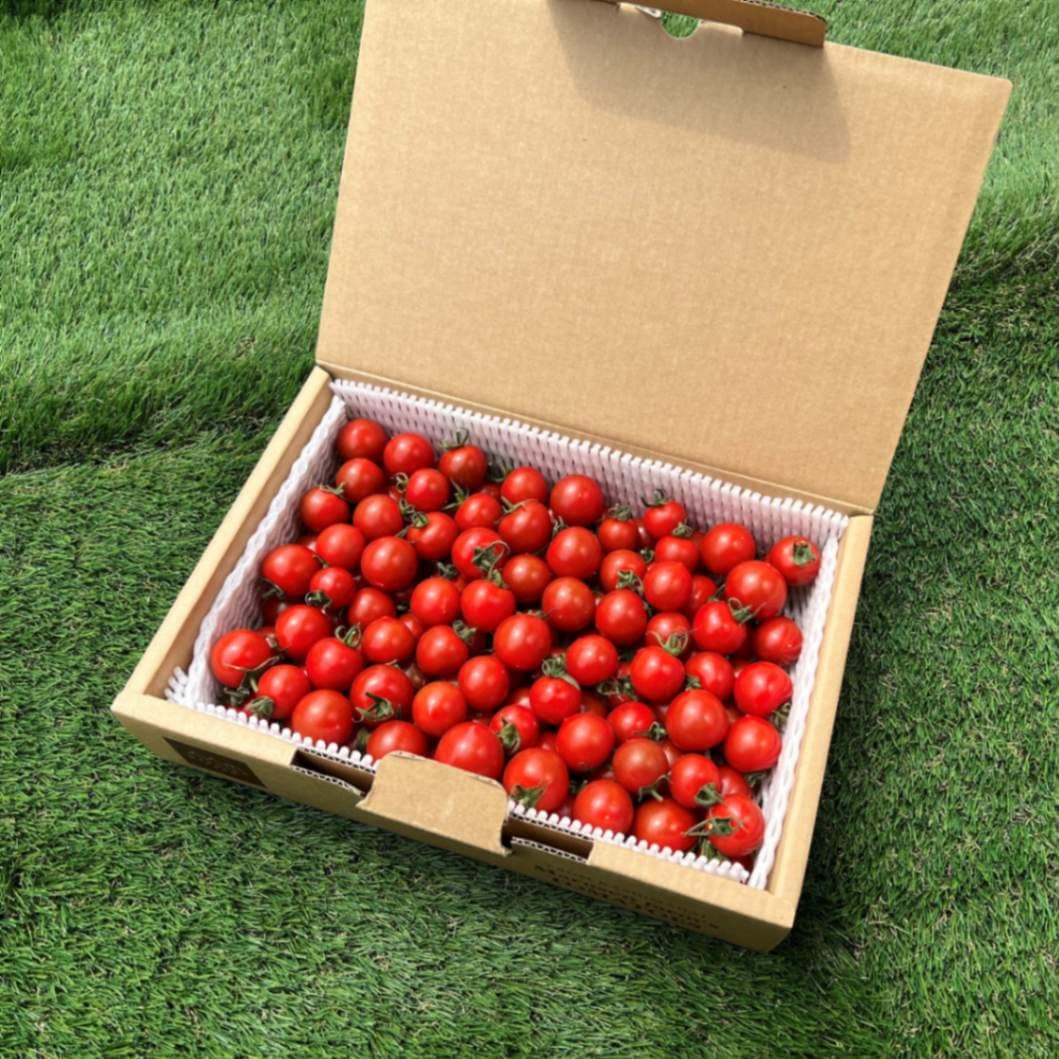 トマクイーン不揃いバラ詰め1.2kg入り※無くなり次第終了 | すべての