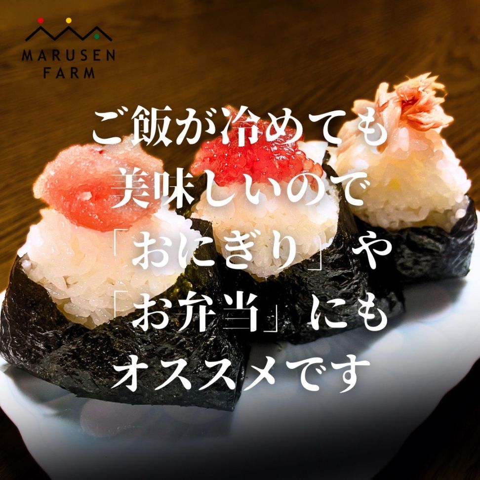 送料無料【数量限定販売】令和7年 宮城県産ひとめぼれ精米 3㎏×3個<br>※1回の注文で2セットまで！