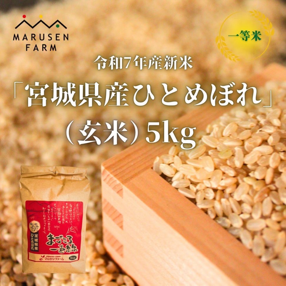 送料無料【数量限定販売】令和7年 【玄米】宮城県産ひとめぼれ5㎏<br>※1回の注文で3個まで！