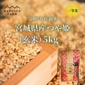 送料無料【数量限定販売】令和7年 【玄米】宮城県産つや姫 5㎏<br>※1回の注文で3袋まで！