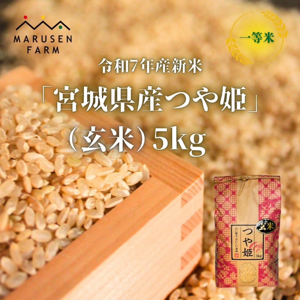 送料無料【数量限定販売】令和7年 【玄米】宮城県産つや姫 5㎏<br>※1回の注文で3袋まで！