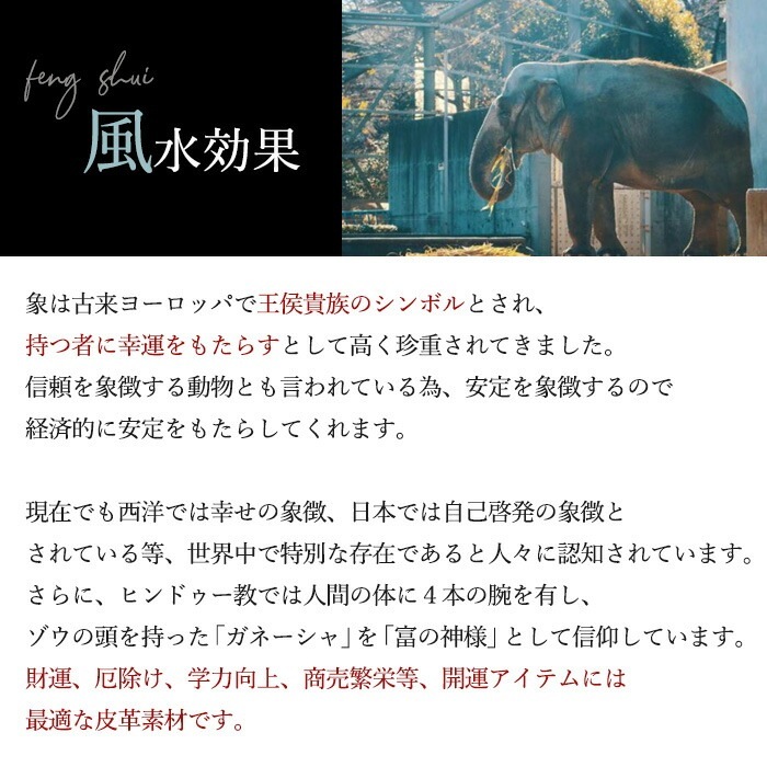 ZOO(ズー) ZKC-059 象革 エレファント スマートキーケース スマートキーホルダー