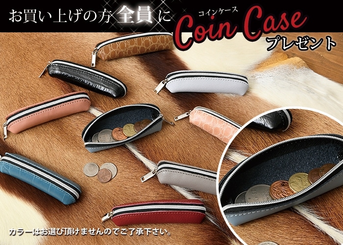 SEEKER シーカー SKW-014208 メンズ 本革 牛革 二つ折り カード パスケース