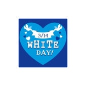 �֡�MA-78�˥ۥ磻�ȥǡ��ץ����롧200���40��40mm����������