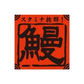 �֡�MF-145�˱� �����ߥ�ȴ������ �����롧200���40��40mm����������