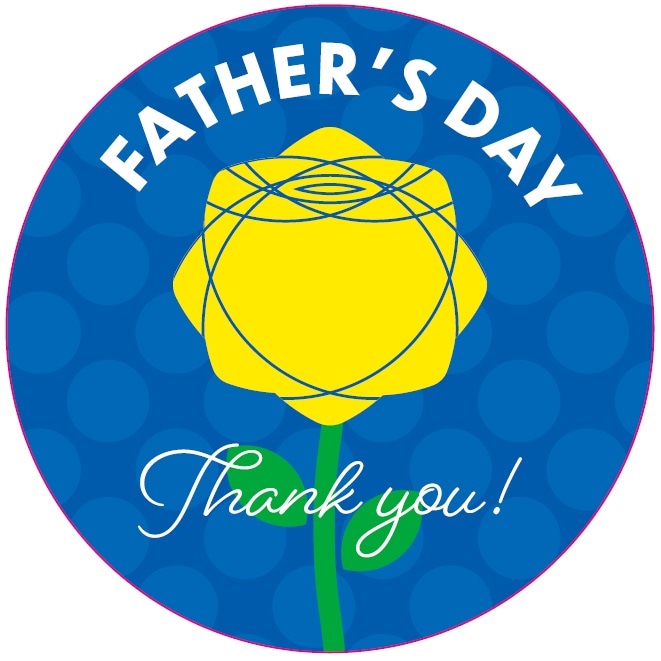 �֡�MA-146������� �ץ����� (������200��)��40�ա�