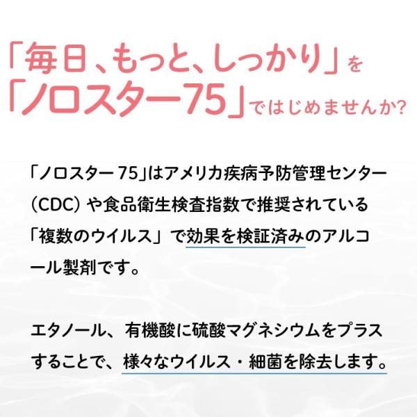 ��ǻ�٥��륳�������ޡ֥Υ�������75�� ���åȡ�5�̡�4�ܡʿ���ź��ʪ�ˡ����ܥȥ�����