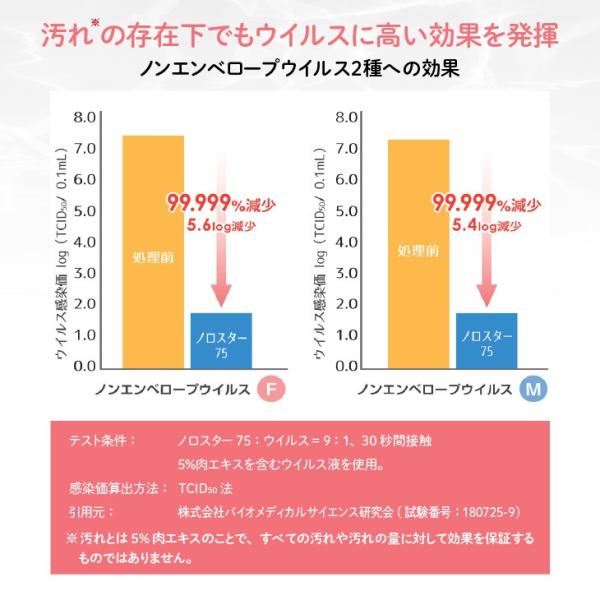 ��ǻ�٥��륳�������ޡ֥Υ�������75�� ���åȡ�5�̡�4�ܡʿ���ź��ʪ�ˡ����ܥȥ�����