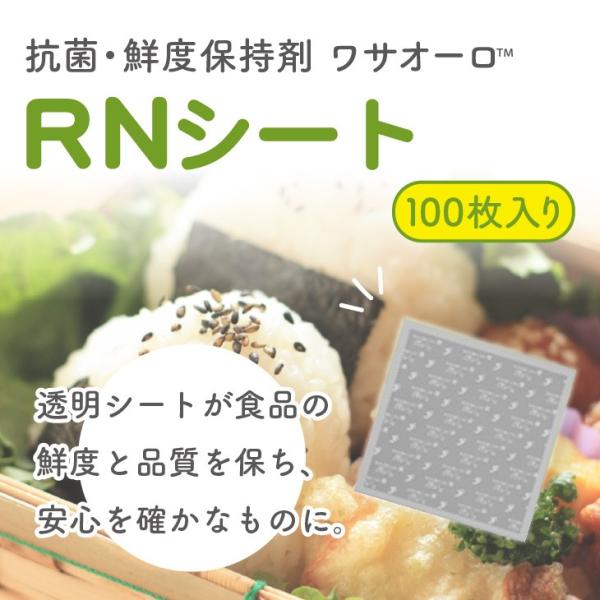 �֥掠������ RN������Ʃ�� RN25C2��100������