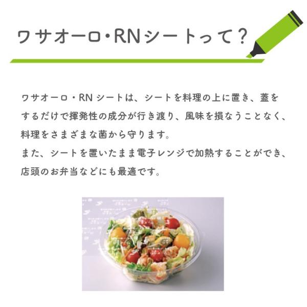 �֥掠������ RN������Ʃ�� RN25C2��100������