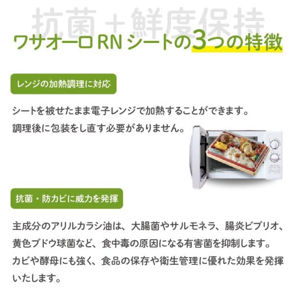 �֥掠������ RN������Ʃ�� RN25C2��100������