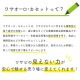 �֥掠�������ۥ���� CS-500P�ѡס��������å����䡡